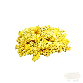 Altın Otu  30 gr