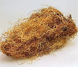 Mısır Püskülü 30 gr