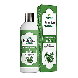 DESTEK HAIRNICE ÇAM TEREBENTİN ŞAMPUAN 330 ML