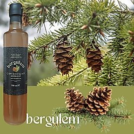 Doğal Kozalak Sirkesi 500 ml