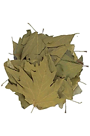 Çınar Yaprağı 25 gr