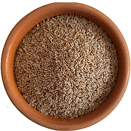 Karnıyarık Otu Tohumu 100 g