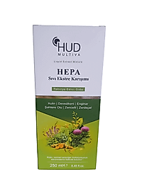 HUD MULTIVA HEPA 250 ML