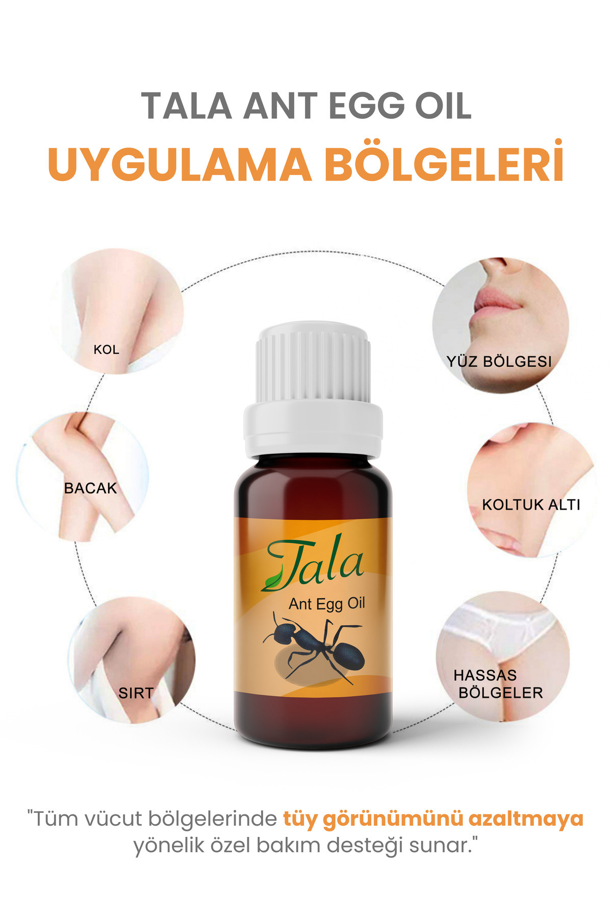 Tala Karınca Yumurtası Yağı 20 ml